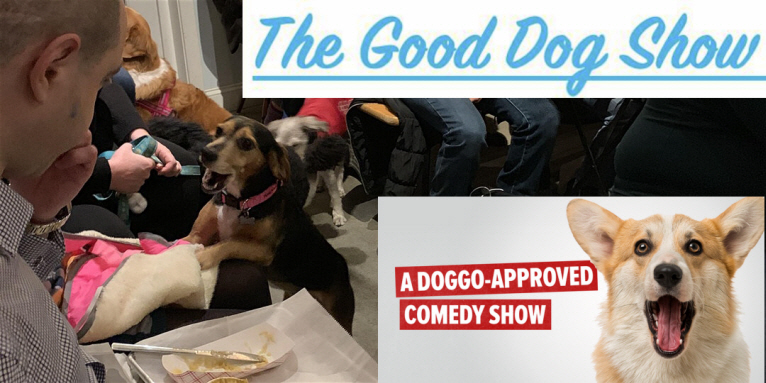 Jonathan Zeller: "The Good Dog Show"